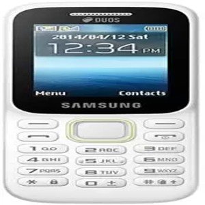 SAMSUNG Guru Music 2  (White)
