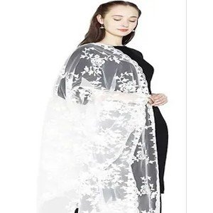 Elite White Net Embroidered Dupatta For Women