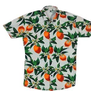 Stylish Regular Fit Polyester Short Sleeves Casual Shirt for Men